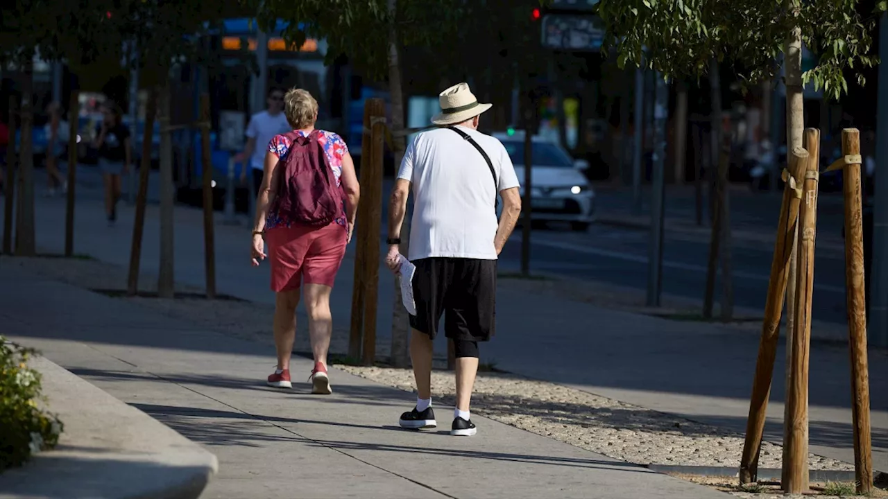 Subida del 6% a las pensiones mínimas en 2025