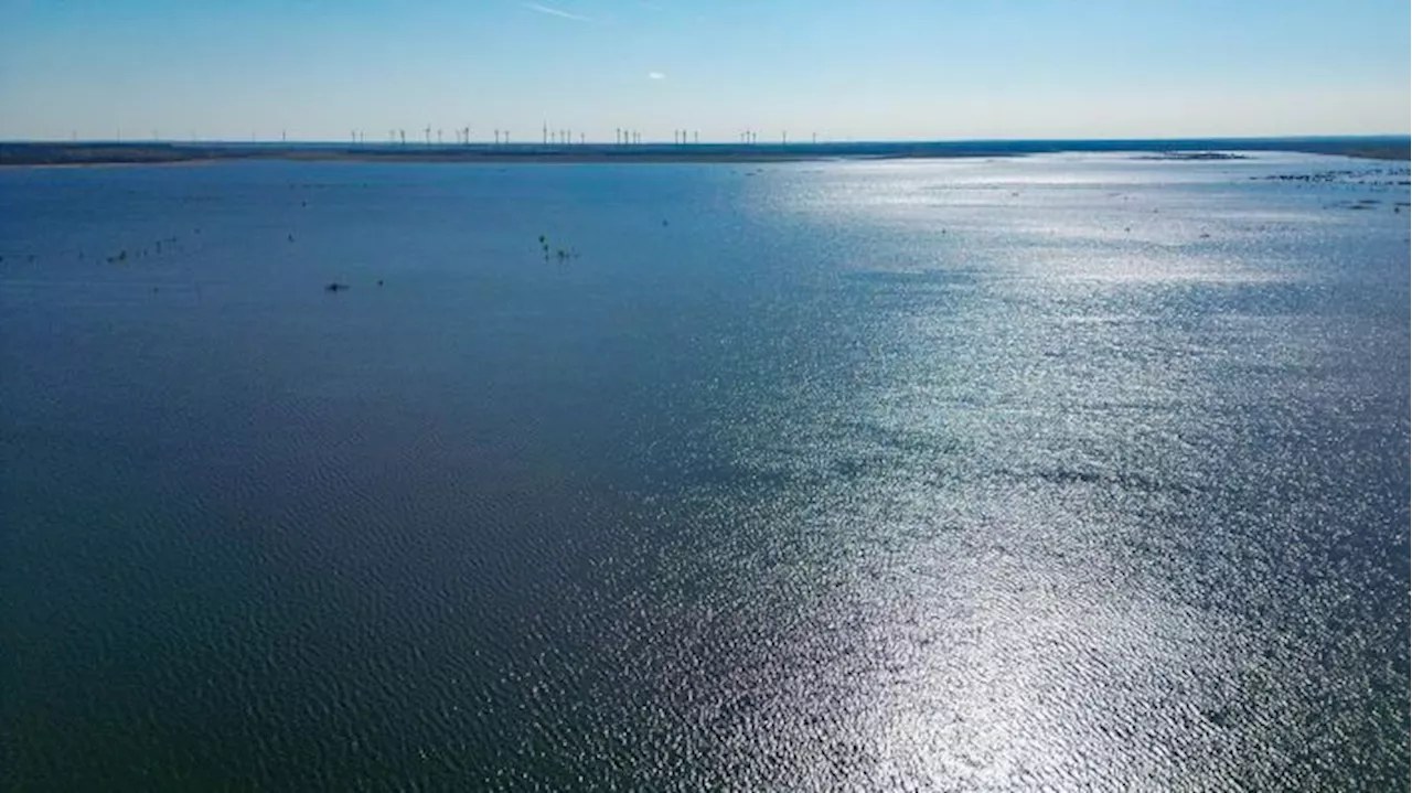 Cottbus Ostsee Erreicht Zielwasserstand