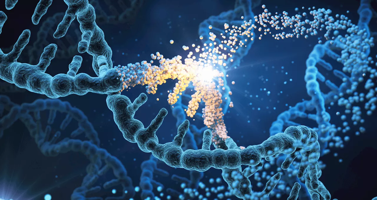 Descubren una causa genética de la colitis ulcerosa y Crohn en un punto 'débil' del ADN de pacientes