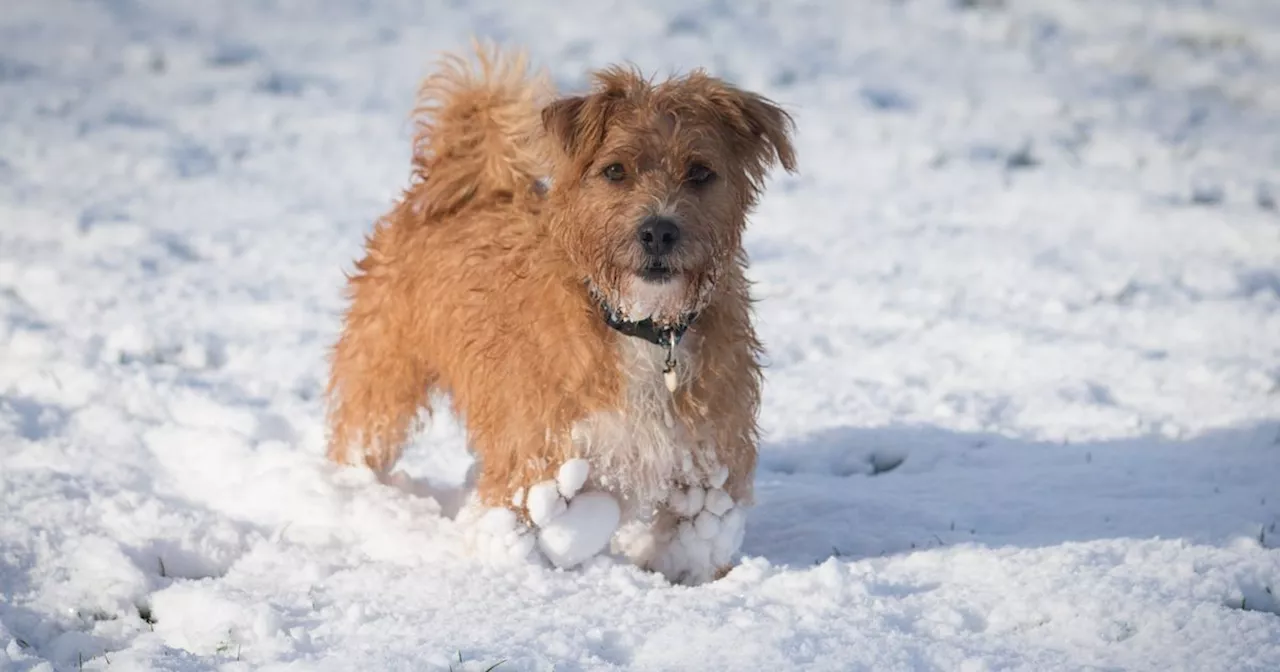 Weather Warnings Issued for 14 Counties in Ireland