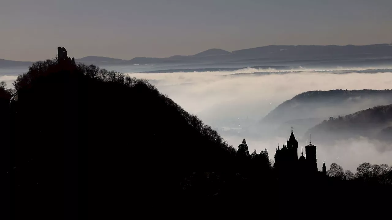 Mysteriöser Drachenfels-Tod: Spaziergänger entdeckt menschliche Knochen bei Königswinter