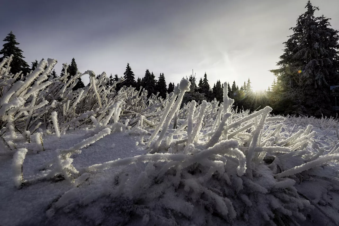  Météo en France : d'importantes chutes de neige attendues, les stations font le plein