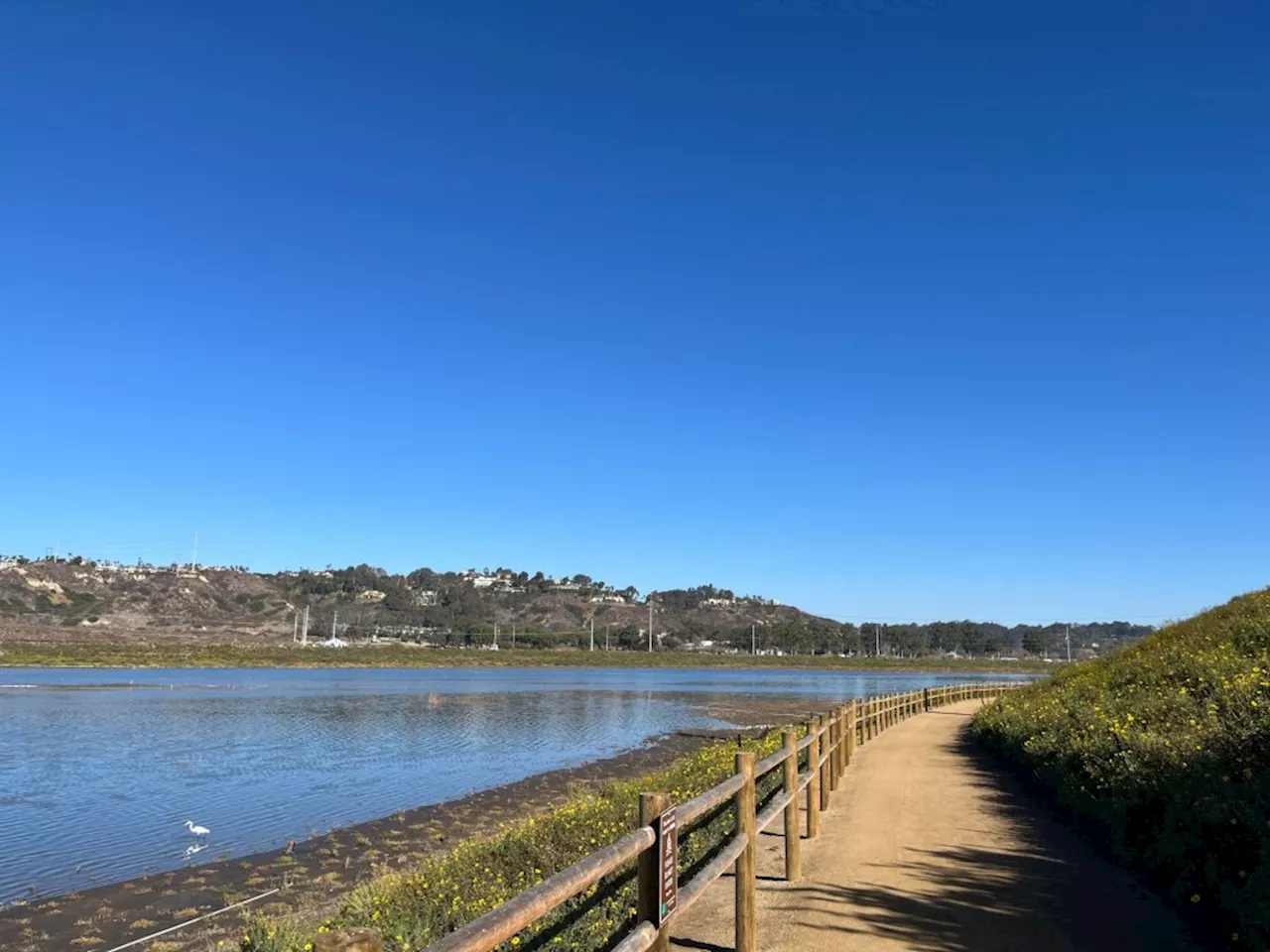 New Tidal Trail Offers Scenic Views of Restored Wetland