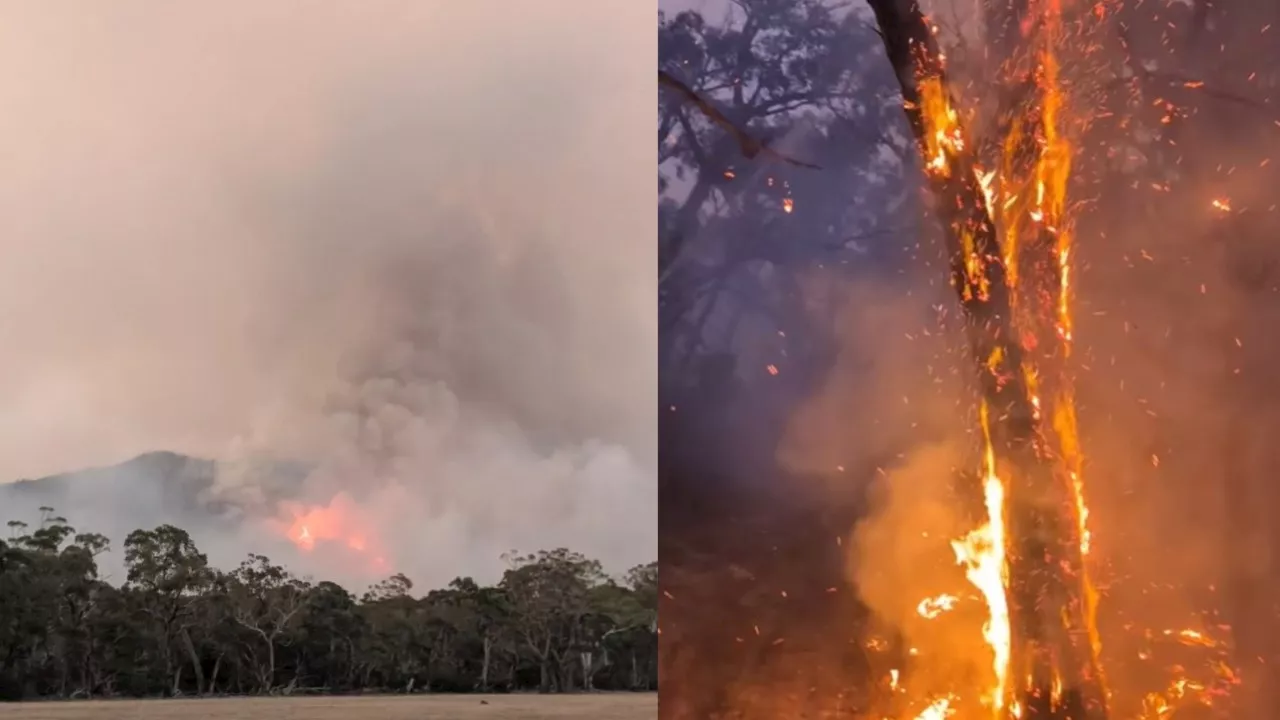 Grampians bushfire in Victoria exceeds 40,000 hectares amid ‘not safe to return’ warning