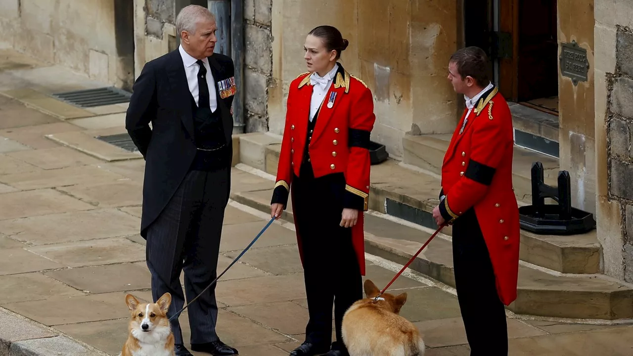 Prince Andrew ‘can’t bring himself’ to walk late Queen’s corgis