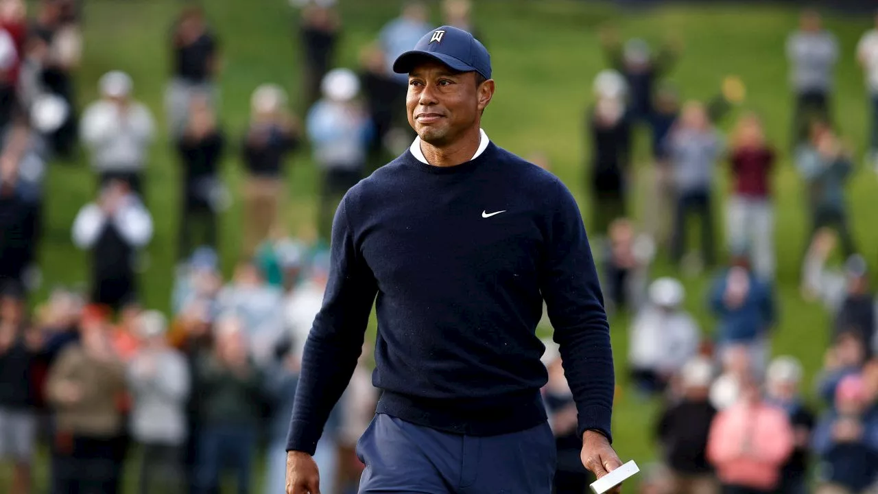 Tiger Woods and Elin Nordegren Hug After Son Charlie's Hole-in-One at PNC Championship