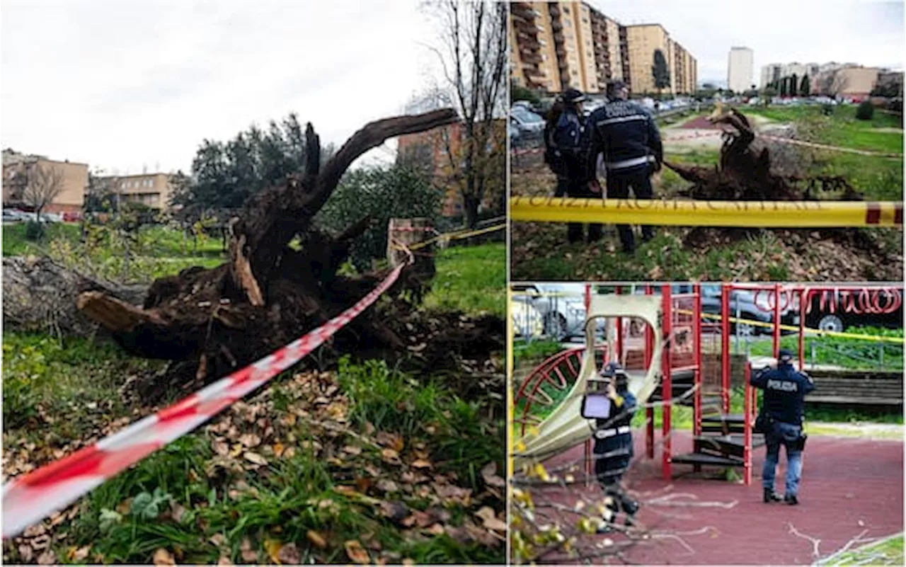 Donna muore travolta da albero nel parco di Roma