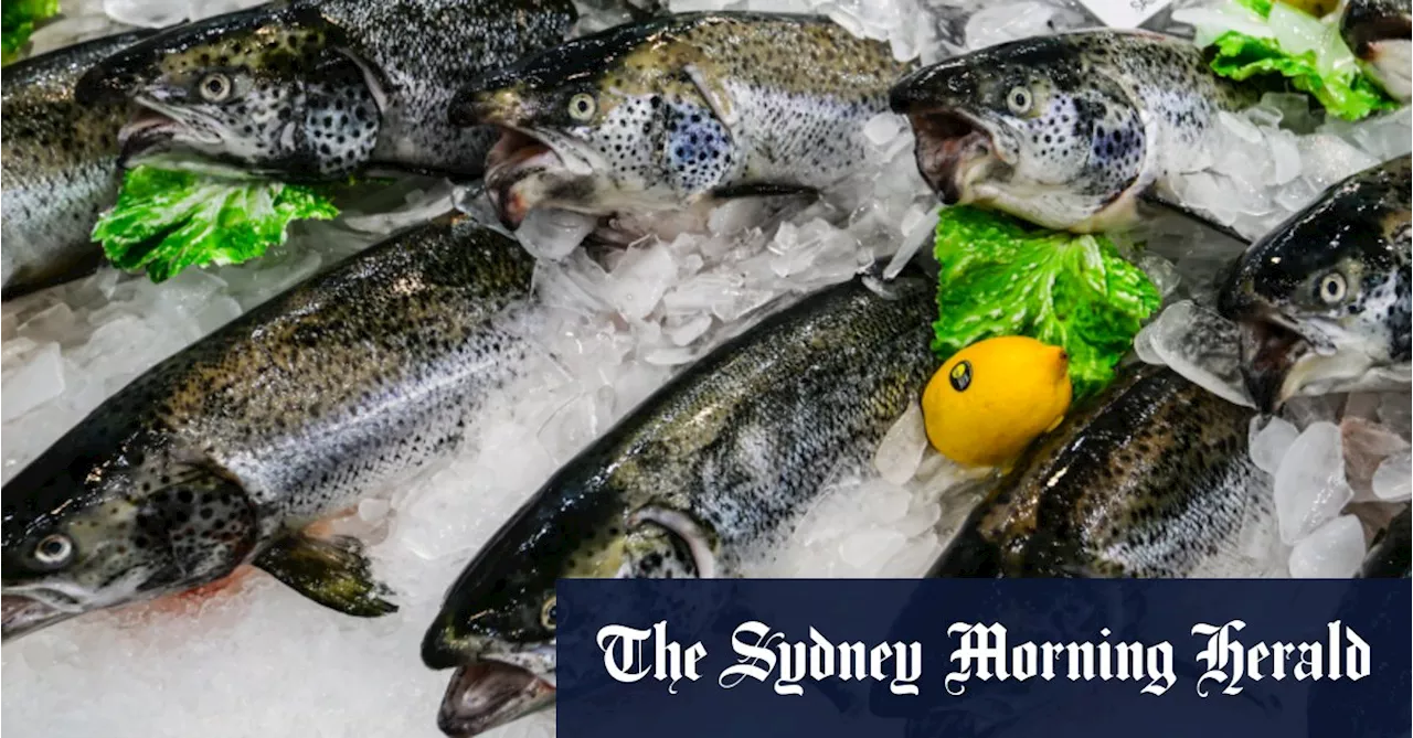 Tasmania's Salmon Industry: Sustainable Feast or Environmental Threat?