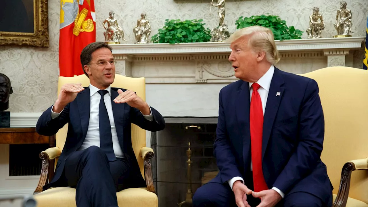 Mark Rutte: Nato-Chef erwartet Druck von Trump – und nimmt Scholz gegen Ukraine in Schutz