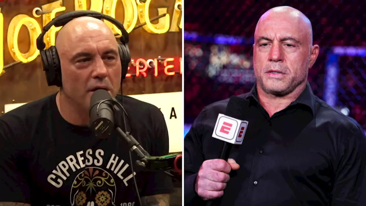 Brian Keating Reveals Joe Rogan's 'Irish Goodbye' After Podcast Appearance