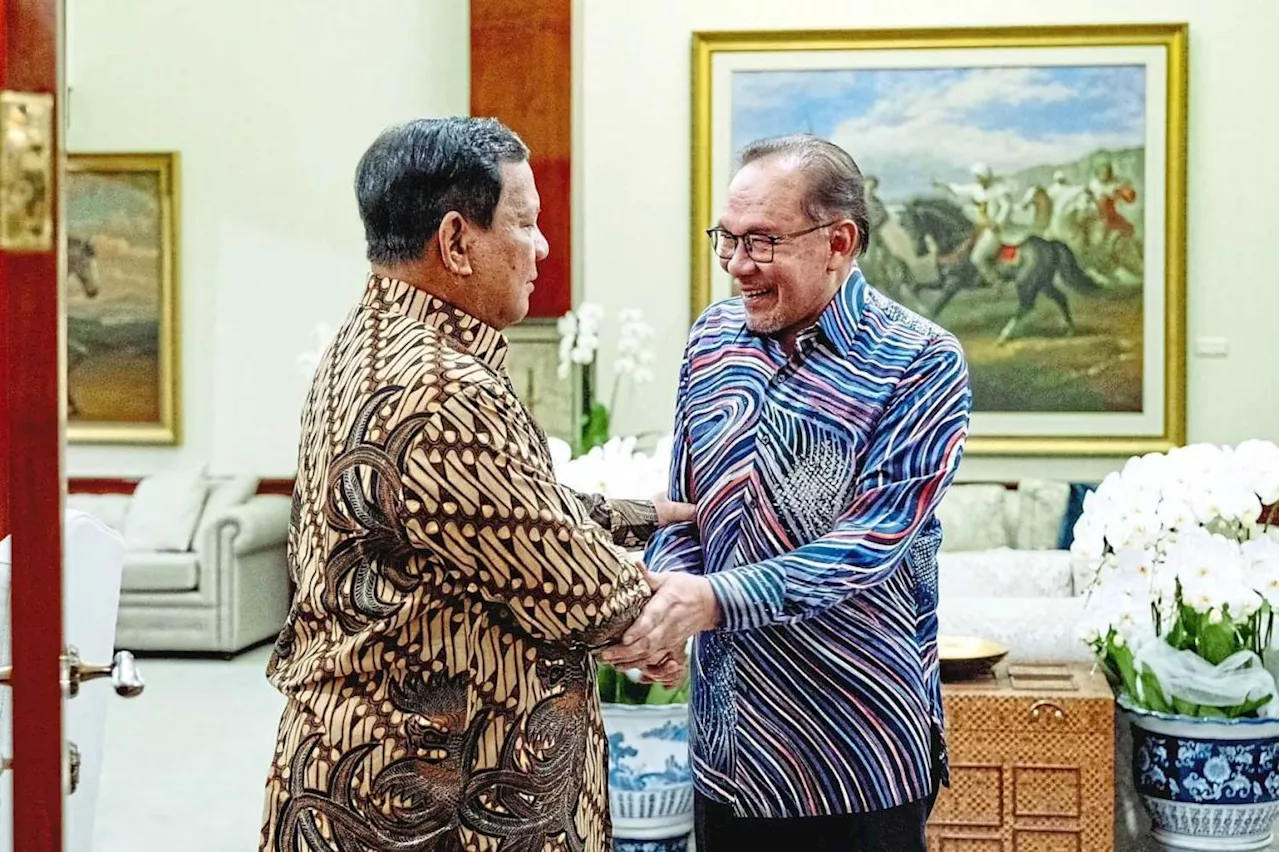 Anwar wishes Prabowo a speedy recovery after meeting postponed