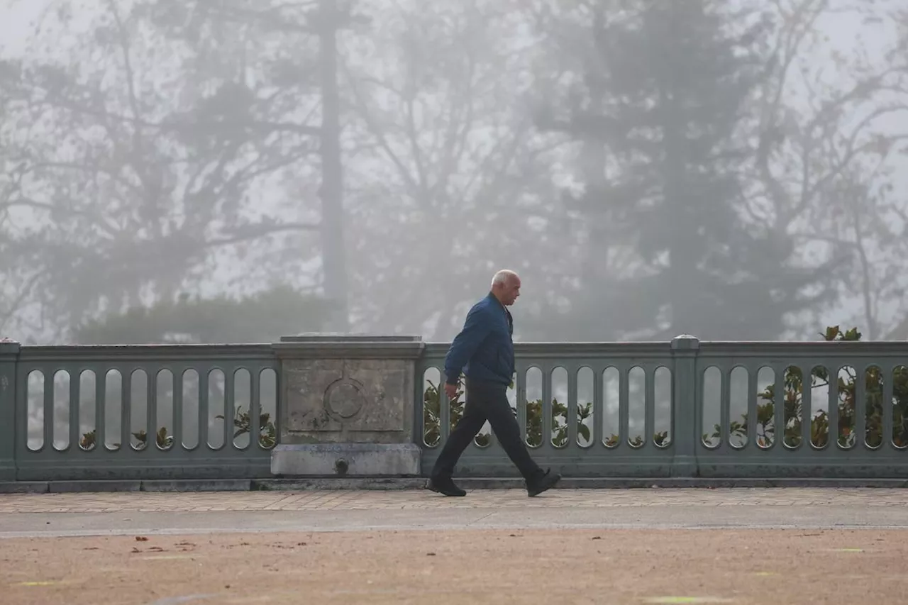 Météo : un Noël calme, avec du brouillard et de la douceur dans le Sud-Ouest