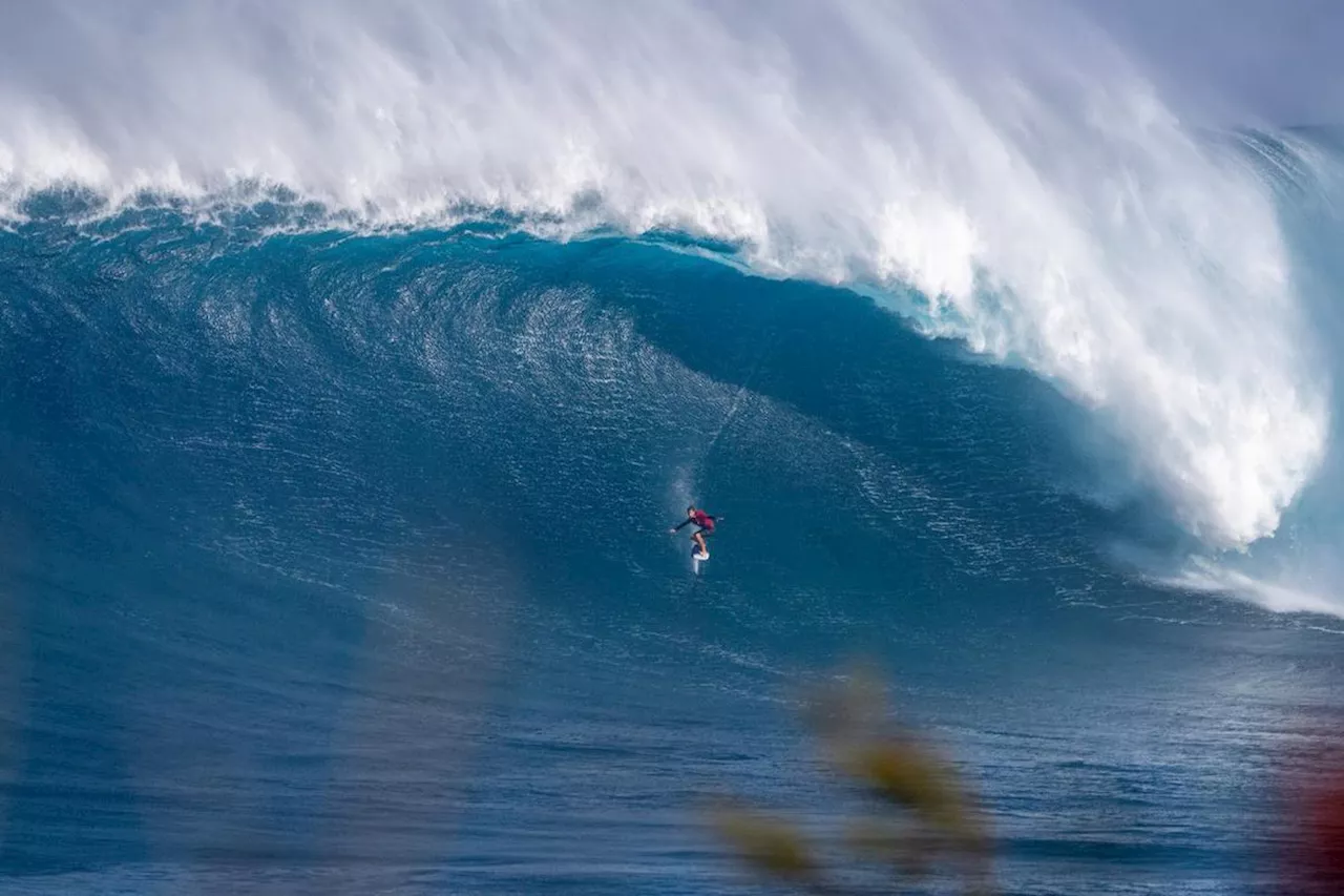 Surf : les échos du tube de la semaine du 23 décembre