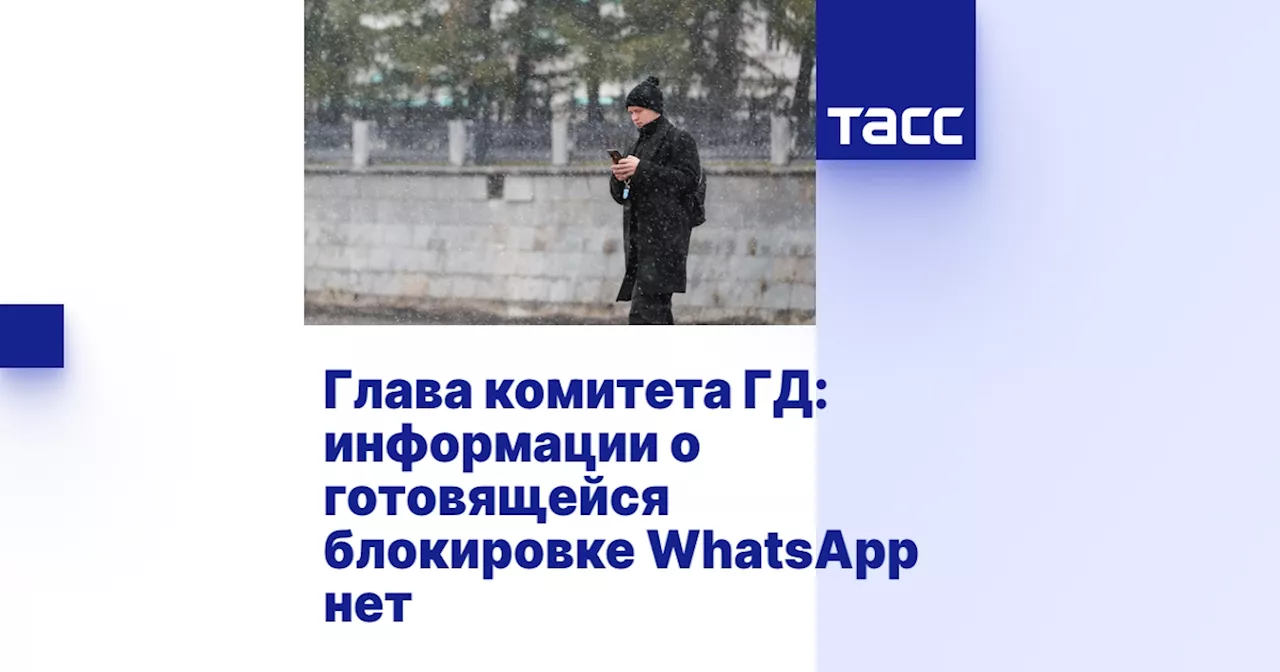 Боярский назвал слухами предположения о блокировке WhatsApp