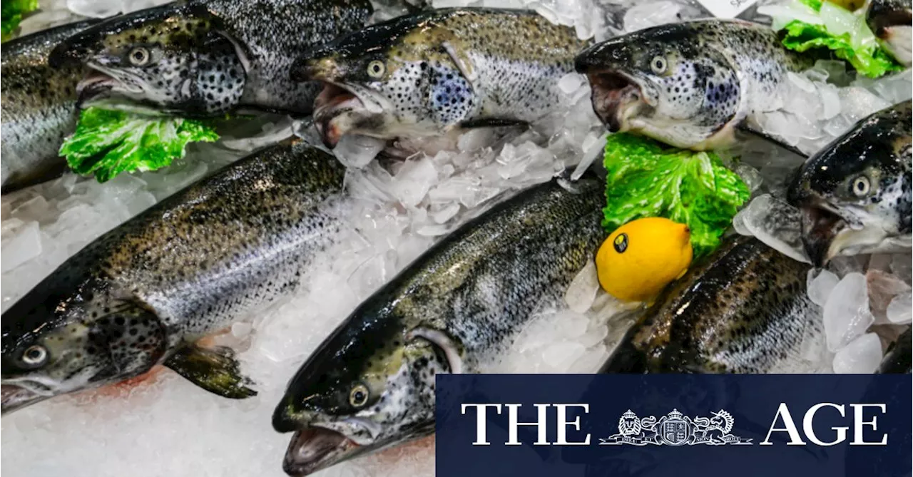 Tasmania’s Salmon Industry: Sustainable or Harmful?