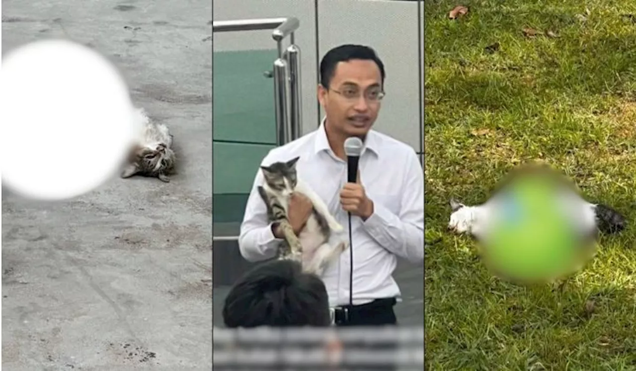 Kes Kematian Kucing Di UM: Pensyarah Kongsi Gambar Dengan Si Bulus Raih Perhatian Ramai