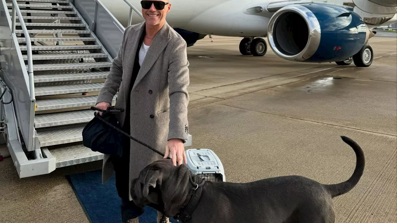 Ronan Keating Faces Backlash for Flying Cane Corso to Australia