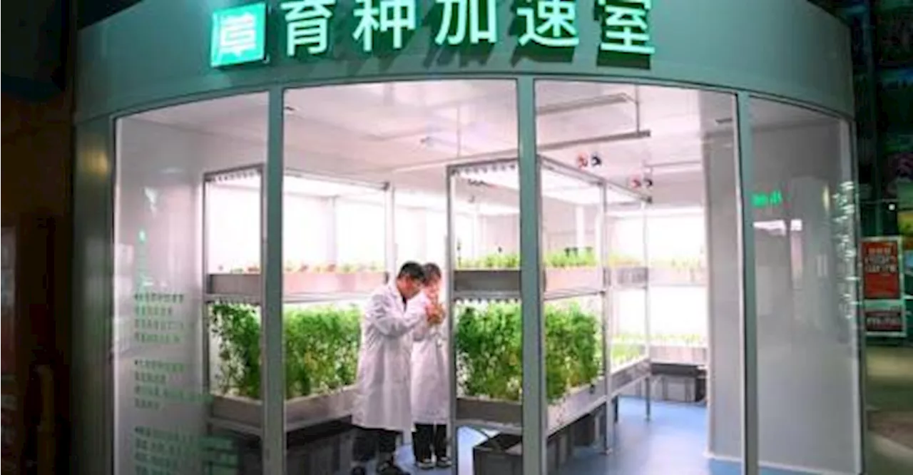 China Combats Desertification with Advanced Technology