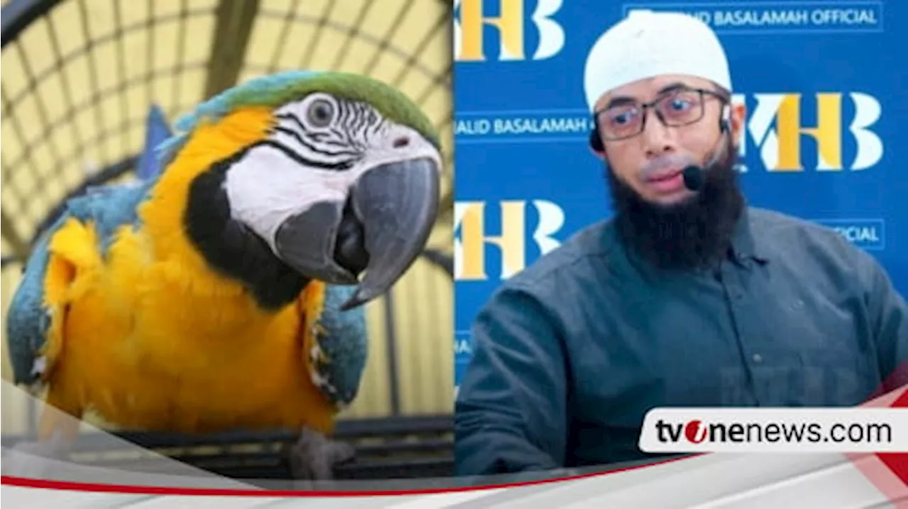 Ustaz Khalid Basalamah: Burung Bikin Candu, Jangan Pelihara!