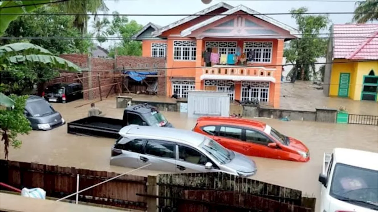 Walau Murah, Ini Risiko Beli Mobil Bekas Kena Banjir