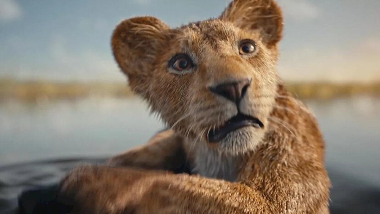 Mufasa: Der König der Löwen - Wann kommt der Disney-Film zum Streamen?