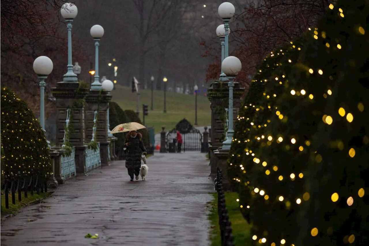 Massachusetts Winters Warm Up by 11 Days Due to Climate Change