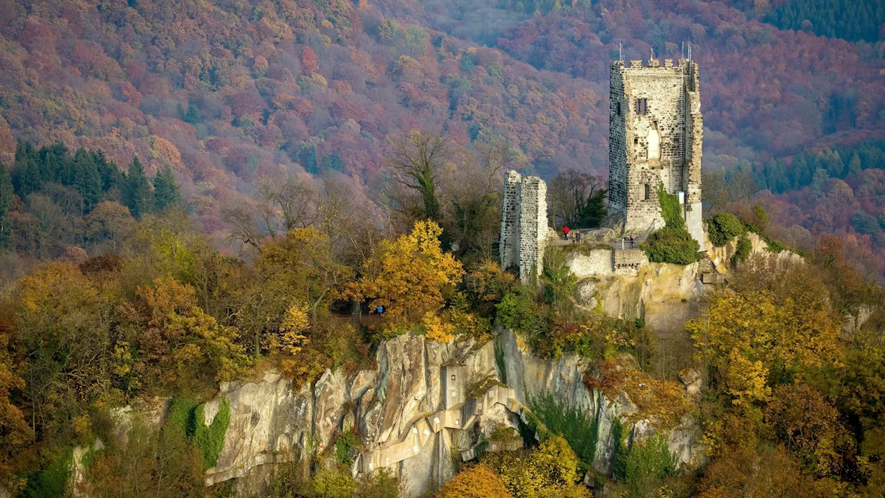 Fund von menschlichen Knochen am Drachenfels