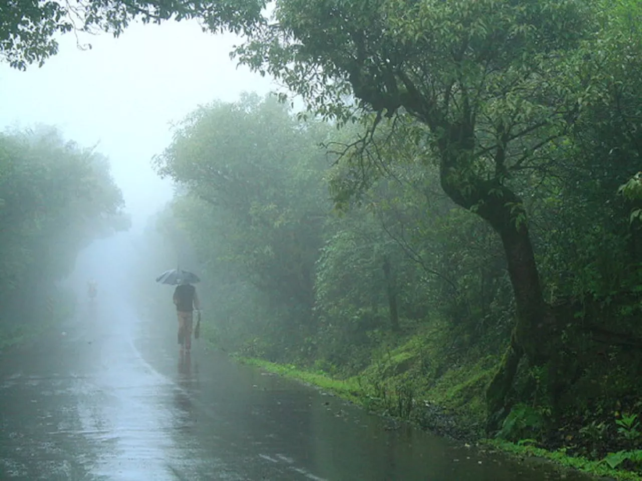 Maharashtra Weather News : कडाक्याच्या थंडीतच पावसाच्या सरी; राज्यात वरुणराजाच्या पुनरागमनानं वाढवली चिंता