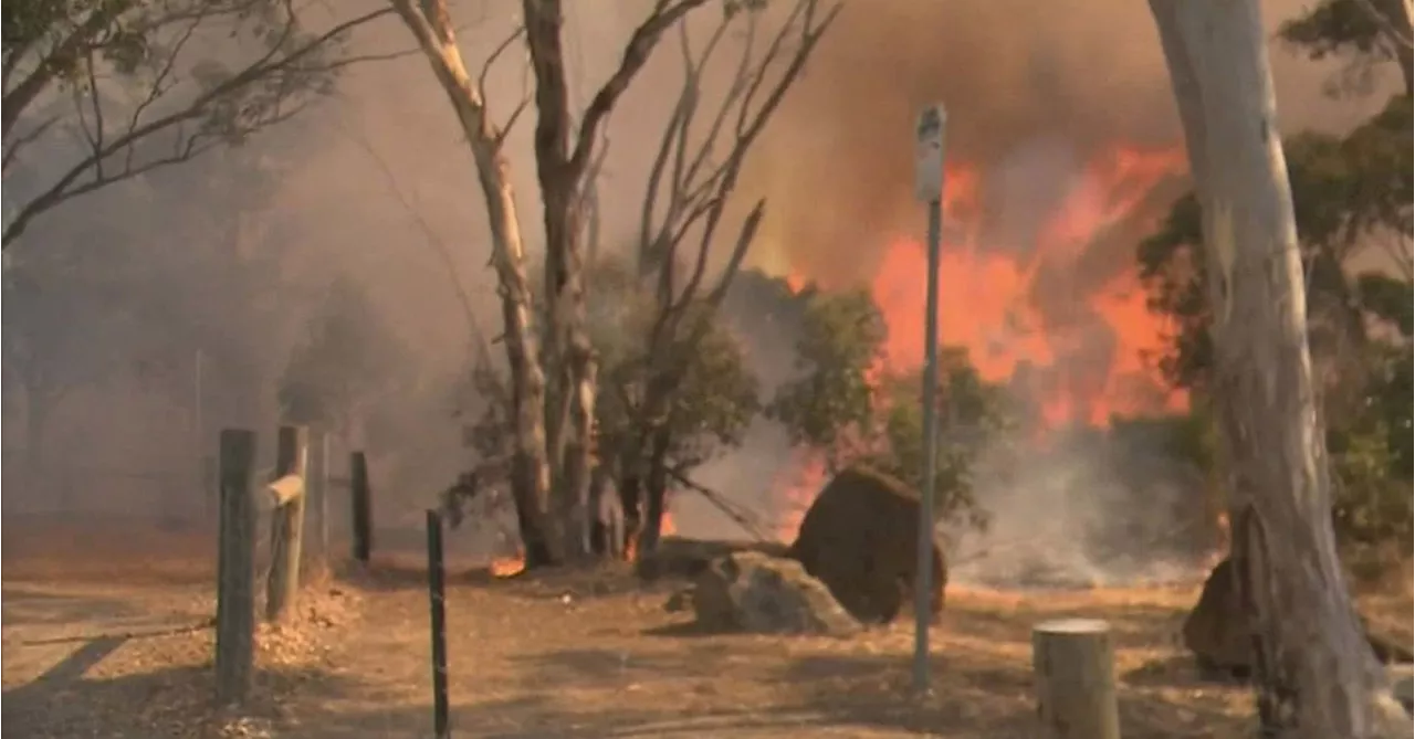 Adelaide Faces Hottest Christmas in Eight Years, Extreme Bushfire Risk