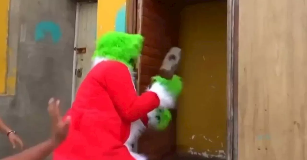 Grinch Goes Bust: Police Officer in Dr. Seuss Costume Seizes Drugs in Peru