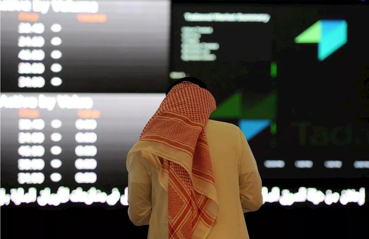 المحافظ الاستثمارية للأفراد في السعودية تنمو 12 % على أساس سنوي