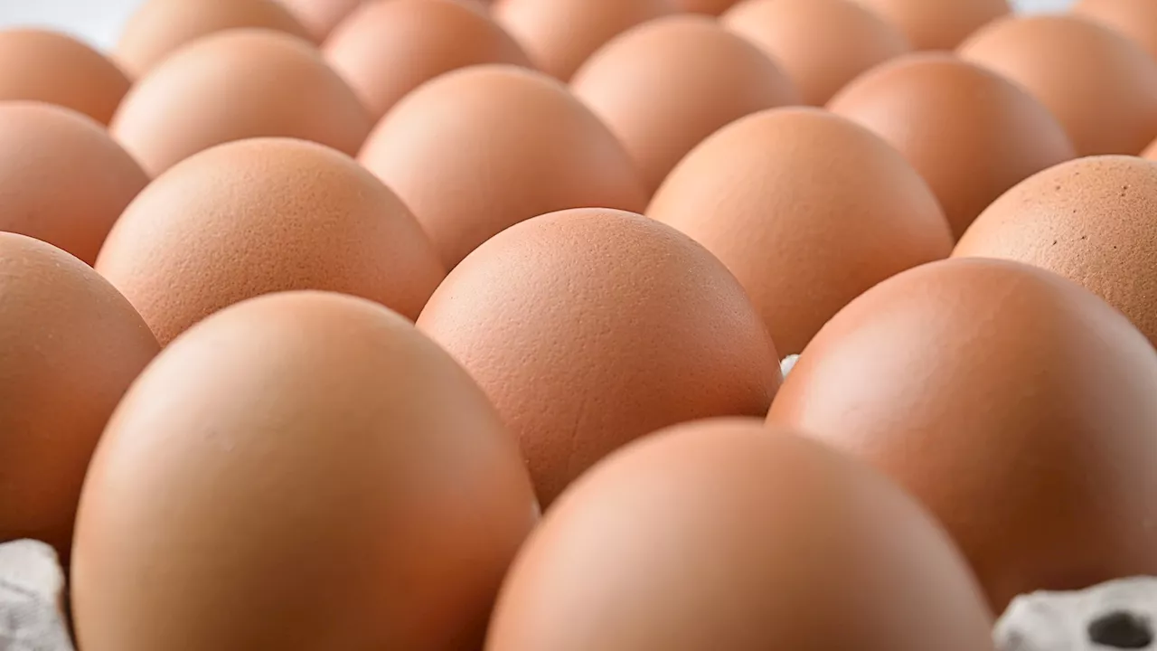 FDA Issues Class 1 Recall for Potentially Contaminated Eggs Distributed to Costco