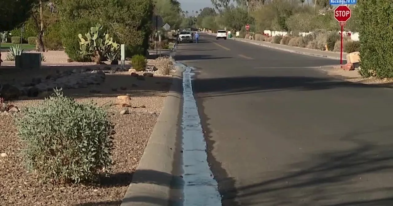 Paradise Valley Resident Says City of Phoenix Took Days to Fix Water Leak