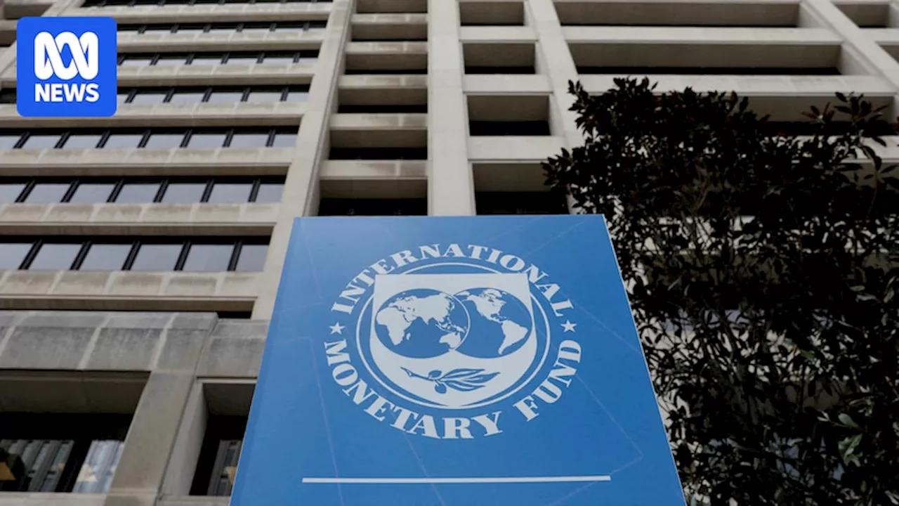 IMF Warns of Potential Rate Hike in 2025 If Inflation Stalls