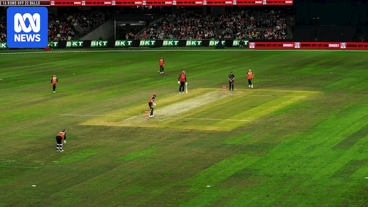 Poorly Presented Docklands Ground Disappoints BBL Boss