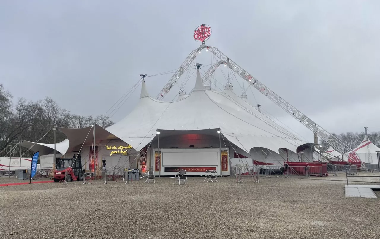 Ce célèbre cirque s'installe pendant plus d'un mois à Bordeaux pour fêter ses 40 ans