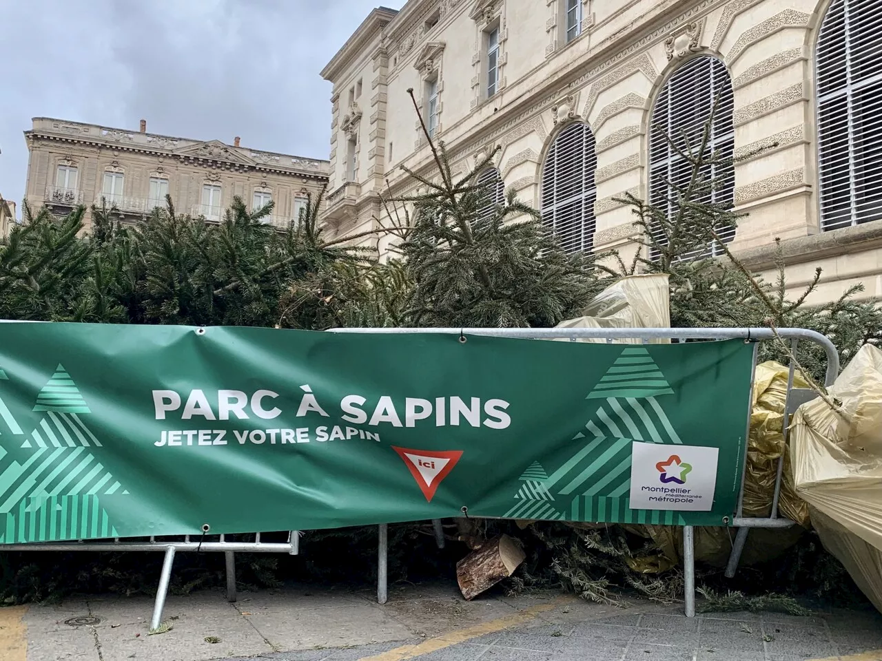 Métropole de Montpellier : n'abandonnez pas votre sapin, optez pour les parcs dédiés et les déchèteries