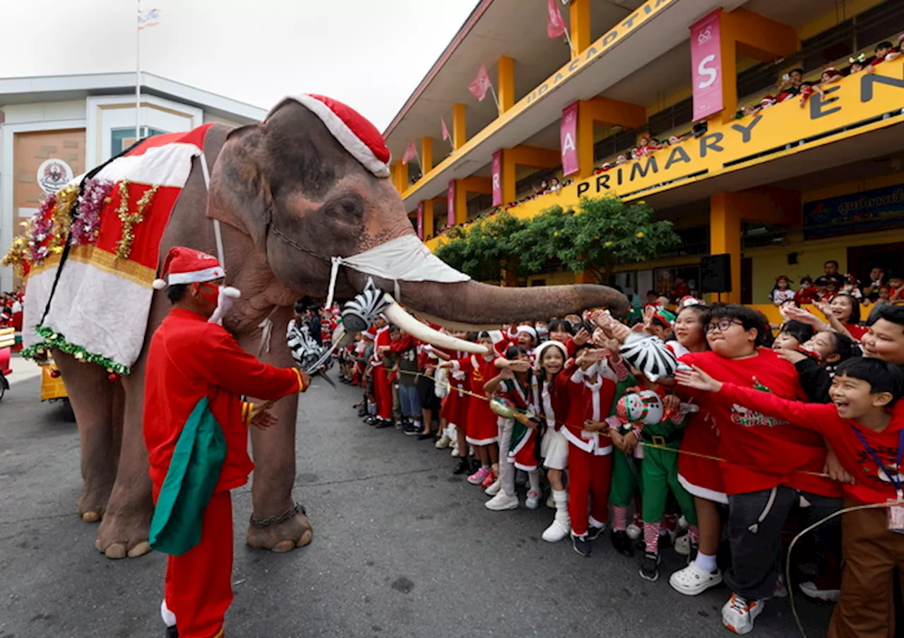 Elefanti vestiti da Babbo Natale con studenti in Thailandia