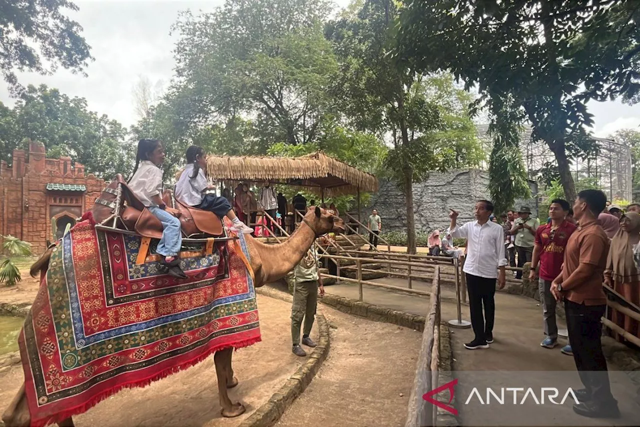 Jokowi Liburan ke Solo Safari Bersama Cucunya