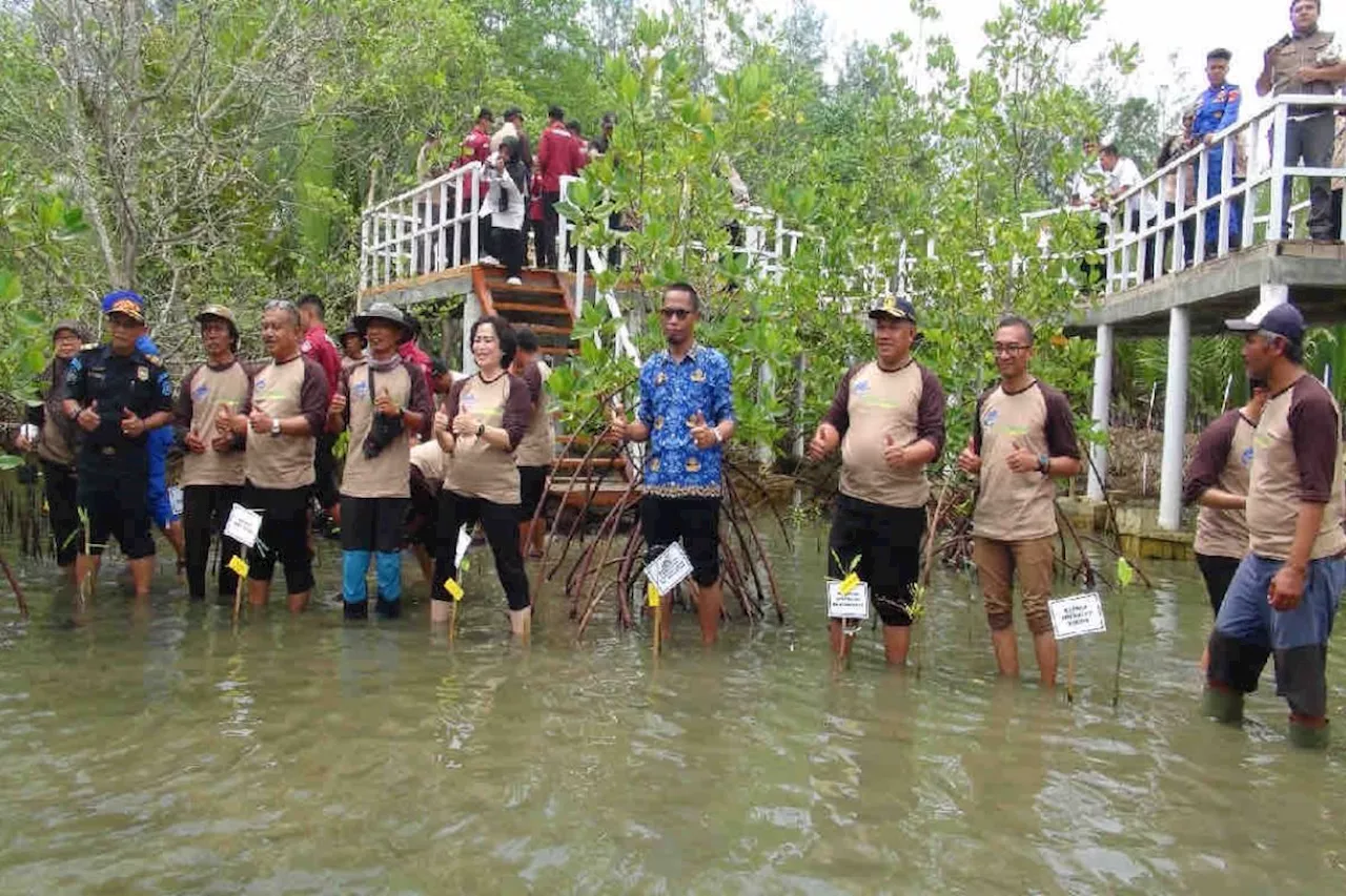 KKP Optimalkan Lahan Mangrove Pangandaran untuk Edukasi dan Wisata