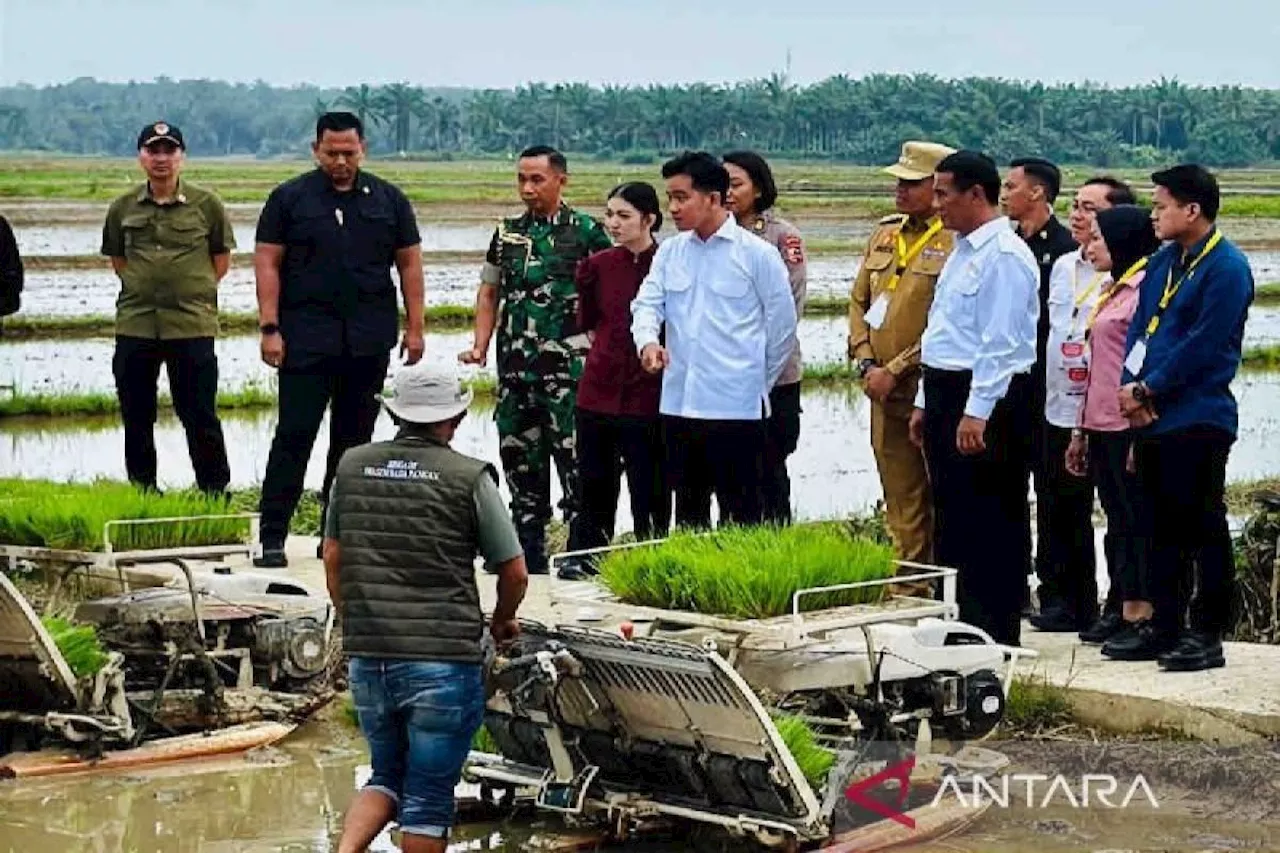 Sistem Distribusi Pupuk Pertanian Diklaim sudah Baik, Mentan Amran: Tidak Ada Lagi Keluhan