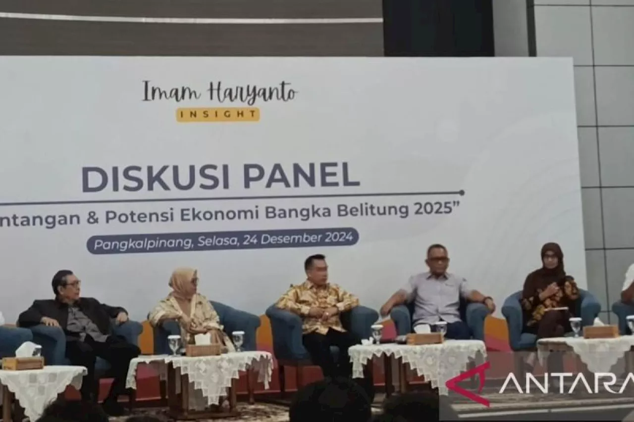 Timah Tetap Dominasi Ekonomi Bangka Belitung hingga 2025