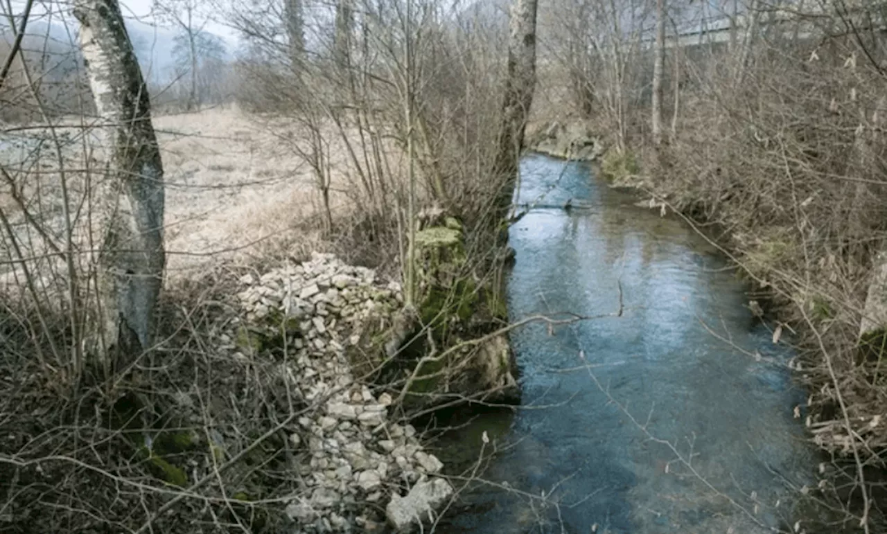 Basel-Landschaft: TFA im Grundwasser der Ergolz