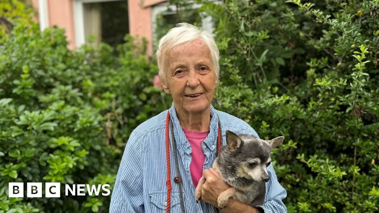 Animal Sanctuary Founder Maggie Jackaman Dies, Charity Set to Close