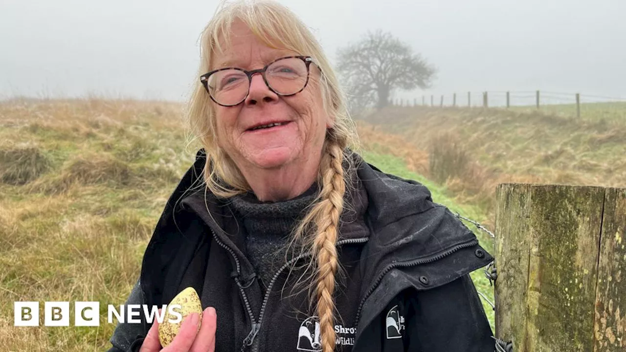 Wildlife Trust Seeks Funds to Restore Shropshire Hills Site for Rare Birds