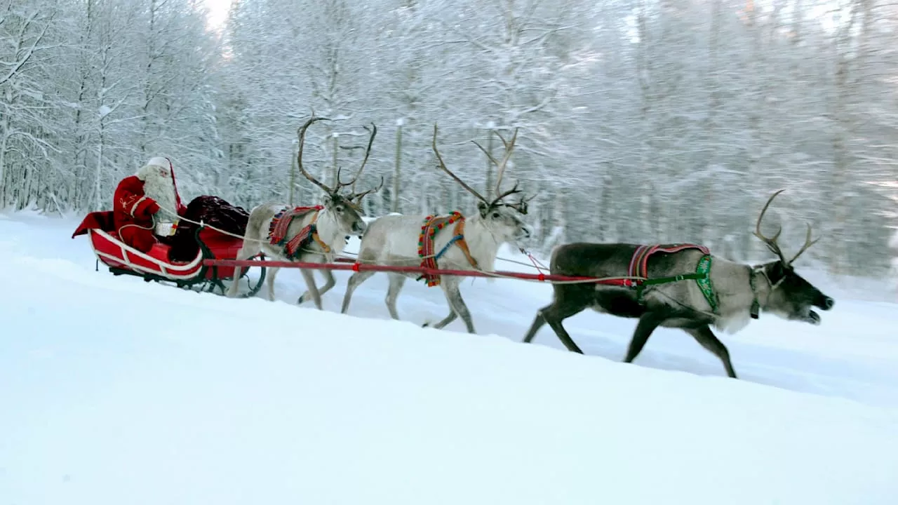 Rudolph ist ein Mädchen!