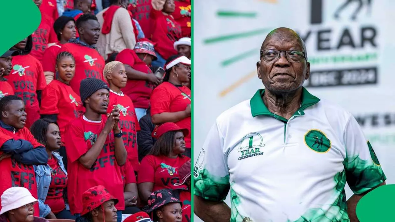 EFF Attempts to Attach Zuma's Assets Over Legal Fees