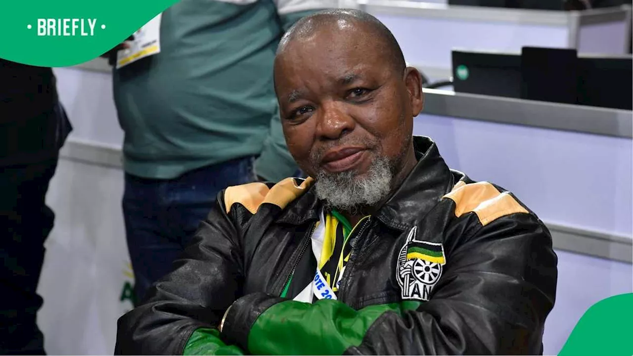 Gwede Mantashe’s Department Spends R1.9 Million in 4 Months, South Africans Demand He Pays It Back