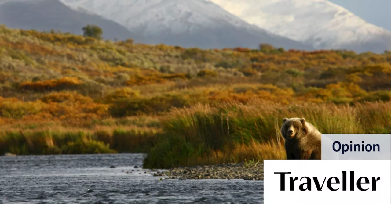 Kodiak Island: A Bear's Paradise