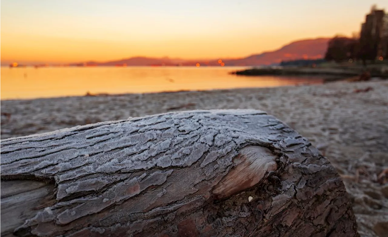 Metro Vancouver Braces for Stormy Weather, but Relief On the Way